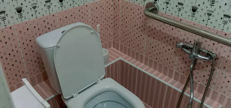 Meeting Diverse Needs With Accessible Restroom Solutions in Harvey, IL