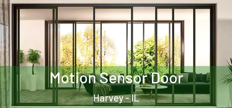 Motion Sensor Door Harvey - IL